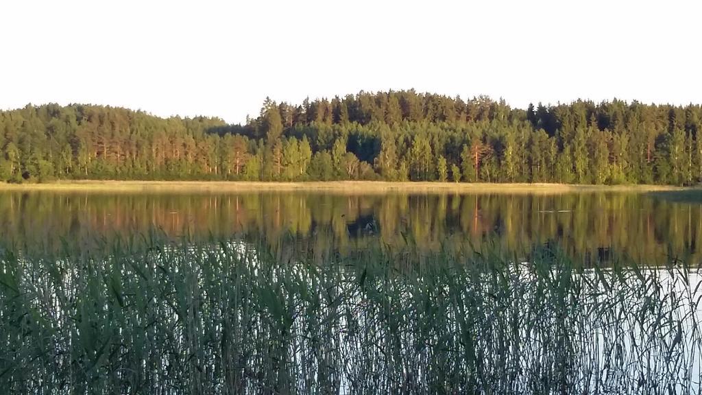 Taipalsaari Lakehouse Saimaa B&B المظهر الخارجي الصورة